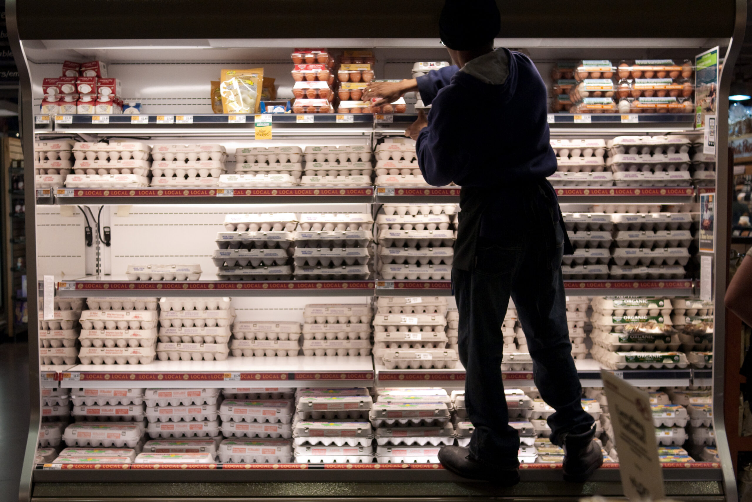 Grocery store worker stocking egg cartons