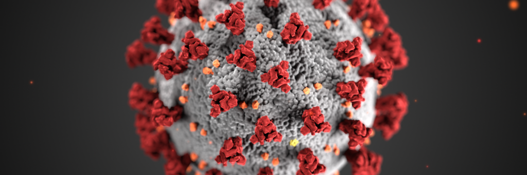 Rendering of the coronavirus (COVID-19)